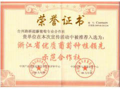 浙江省优质葡萄种植领先示范合作社